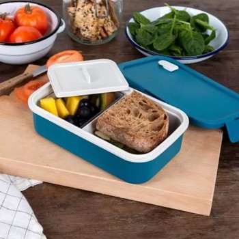 DOUBLE WALLED LUNCH BOX -BLUE