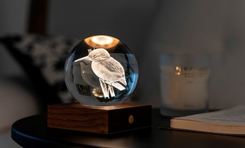 Amber crystal light - Kingfisher