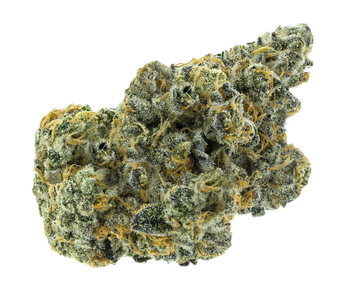 Partake Apricot Frost / 3.5g / Hybrid