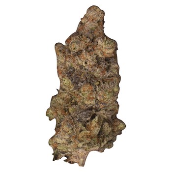 Ripped Zooted Hybrid / 28g / Hybrid - 28g in Kitchener