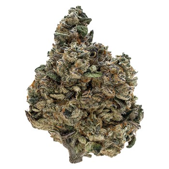 Gran Turismo / 3.5g / Whole Flower / Indica
