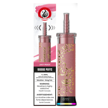 STARBUZZ E-Hose 100K - Juicy Peach