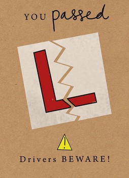 Mint -You passed - drivers beware! - Passed-JBS893