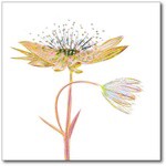 EG - Yellow Flower - 33LG (D)