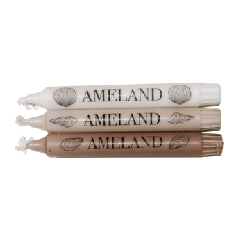 Dinerkaars - Ameland schelp