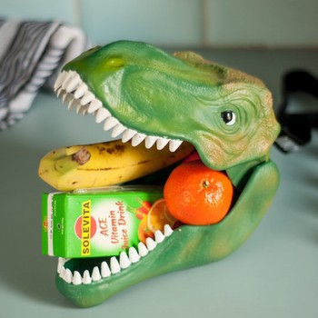 DINOSAUR LUNCHBOX