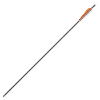 Stealth Carbon Arrows 30" each