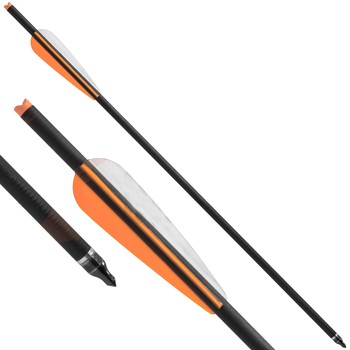 Stealth Carbon crossbow bolts 20" each