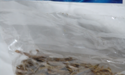 Rasoja Dried Sprats (w/o Heads) 200g