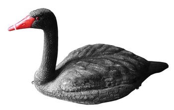 Outdoor Outfitters black swan upright tilted x1