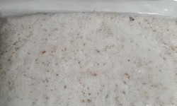 Mahaweli Frozen Grated Coconut 340gm