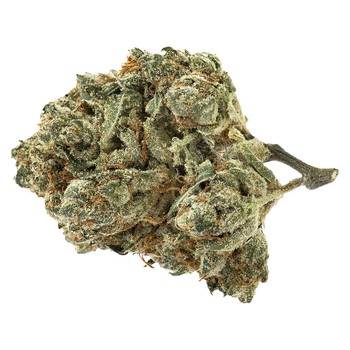 Pure Sunfarms Alien Pebbles / 7g / Hybrid
