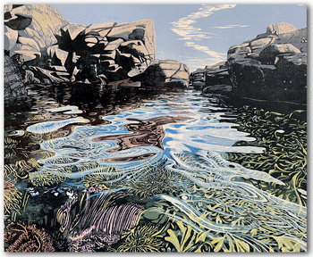 Nico - Rockpool - Hazel McNab