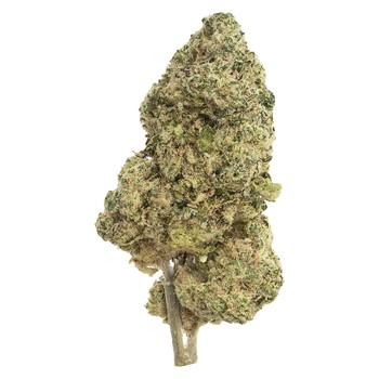 The Republic Black Label / 28g / Indica