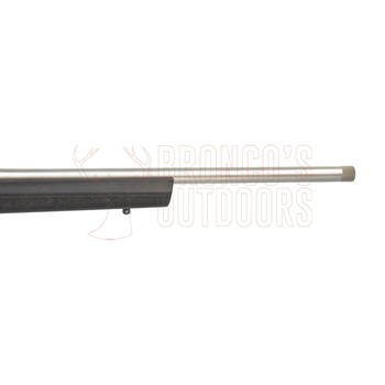 Howa Mini Action Stainless Steel Varmint .223 with Picatinny Rail