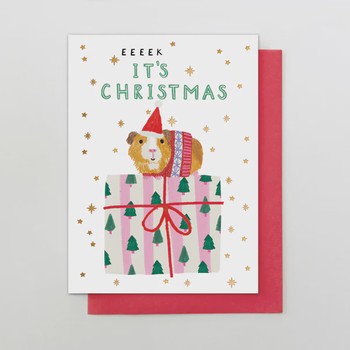 Stop The Clock - eeeek it's chistmas guinea pig - IC12