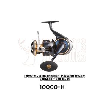 Daiwa 25 Saltiga Reel