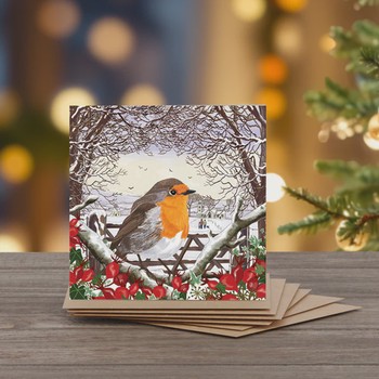 Green Pebble -Robin & New Beginnings Set of 6 Cards  - MW103