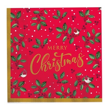 Festive Wonderland 16 Xmas Paper Napkins (D)