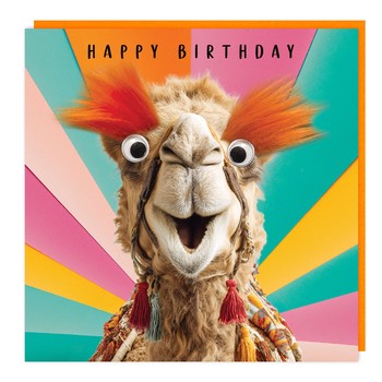 Tracks - LL100 - Fluff /Gogglie - HB - Amazed Camel - C3841