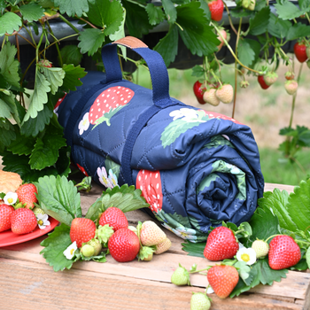 STRAWBERRIES & CREAM PICNIC BLANKET