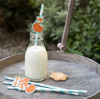 PAPER PARTY STRAWS - FOXES / PACK OF 4