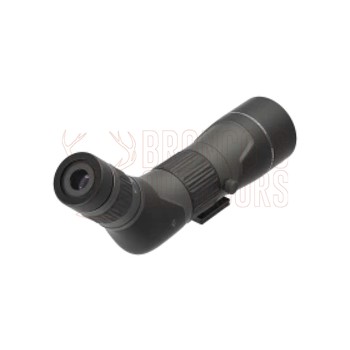 Leupold SX-2 Alpine HD Gen2 20-60x60 Angled Spotting Scope