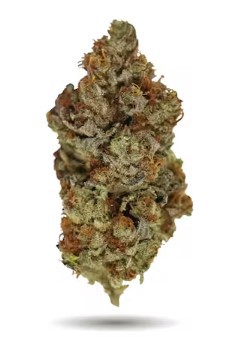 WINK Tangerine Cookies (2) / 3.5g / Hybrid