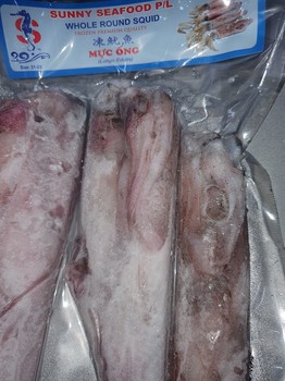 Sunny Food Froz Whole round Squid Large 800gmm