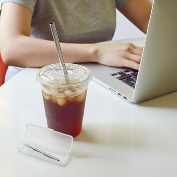 STAINLESS STEEL TRAVEL STRAW SET