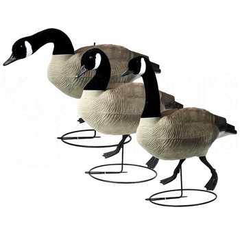 Game On Canada Goose Decoy Full body Flocked 6 Pack