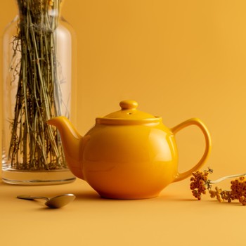 PRICE AND KENSINGTON TEAPOT  2 CUP MUSTARD