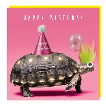 Tracks - LL100 - Fluff /Gogglie - HB - Birthday Turtle - C3837