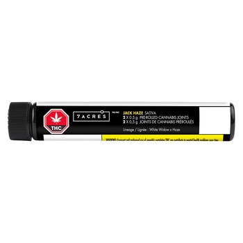 Jack Haze  (Pre-Roll) / 1g / Pre-Roll Packs (2) / Sativa