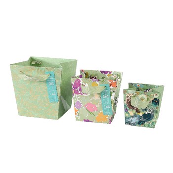Artebene - Plant Gift Bag