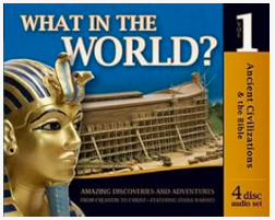 WHAT IN THE WORLD 4-DISC