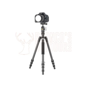 Vanguard Vesta Go 204CB C/Fibre BH-45 Ball Head Tripod