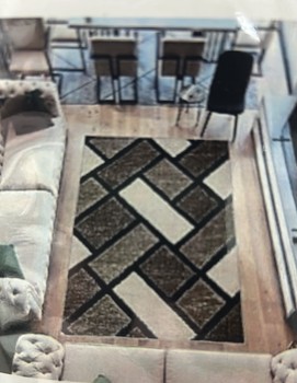 5D Shaggy Rug 6419  5x8 Beige