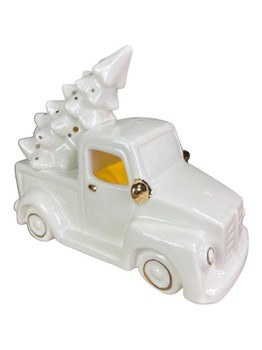 Kerstboom truck