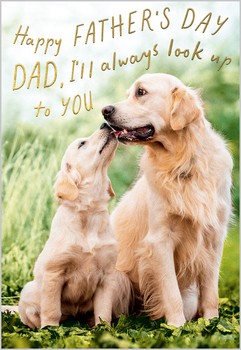 Abacus - Puppy I'Ll Always Look Up To You Fathers Day - 15027