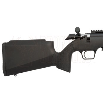 Springfield Armory 2020 Rimfire Target Black .22 LR