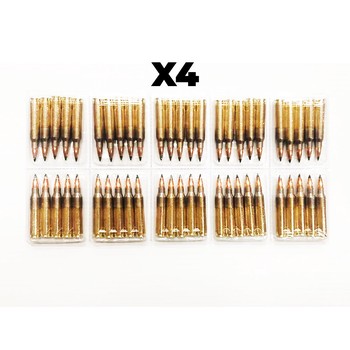 ADI World Class .223 55gr Hornady SP 200 Rounds