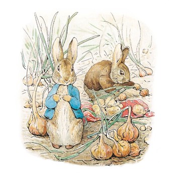 Museums & Galleries - Peter Rabbit and Benjamin Bunny Greeting Card - KWH048-