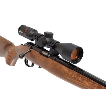 Ruger 10/22 Sporter S/S .22 LR + Burris Fullfield Riflescope 3-12x42mm Plex KSB MY25 + Suppressor