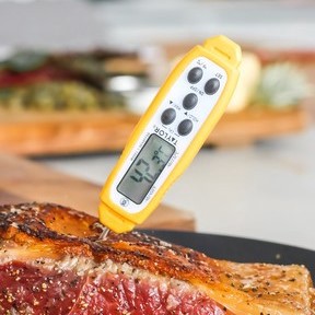 WATERPROOF DIGITAL THERMOMETER