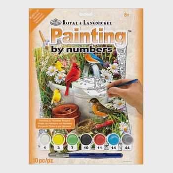Royal & Langnickel 10 Piece Painting by Numbers Kit Age 10+ (D)