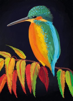 Museums & Galleries Kingfisher CAB720
