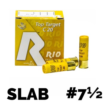 Rio Top Target 20g 2¾" 24gr #7.5 Slab