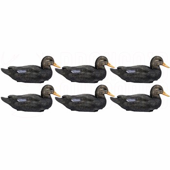 Outdoor Outfitters Premier series 20" black duck x6