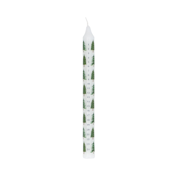 FIR TREES  ADVENT CANDLE